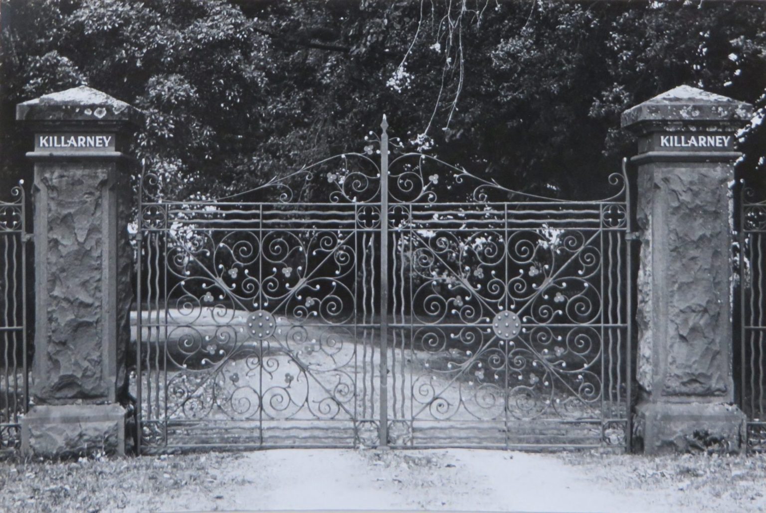 George wickham image